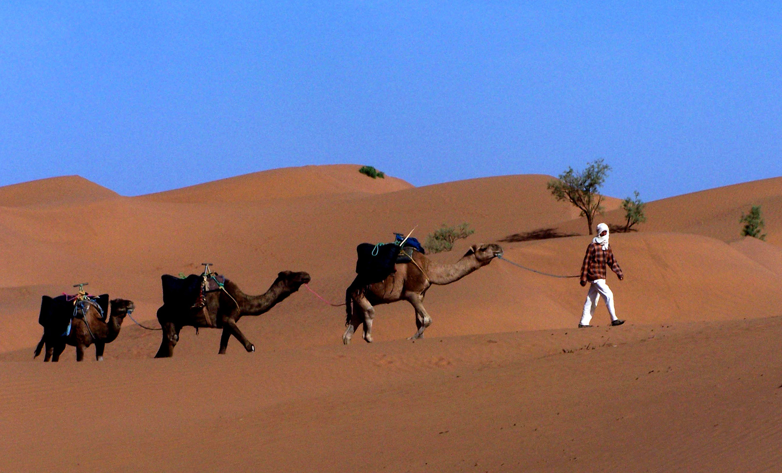 The Sahara in Morocco