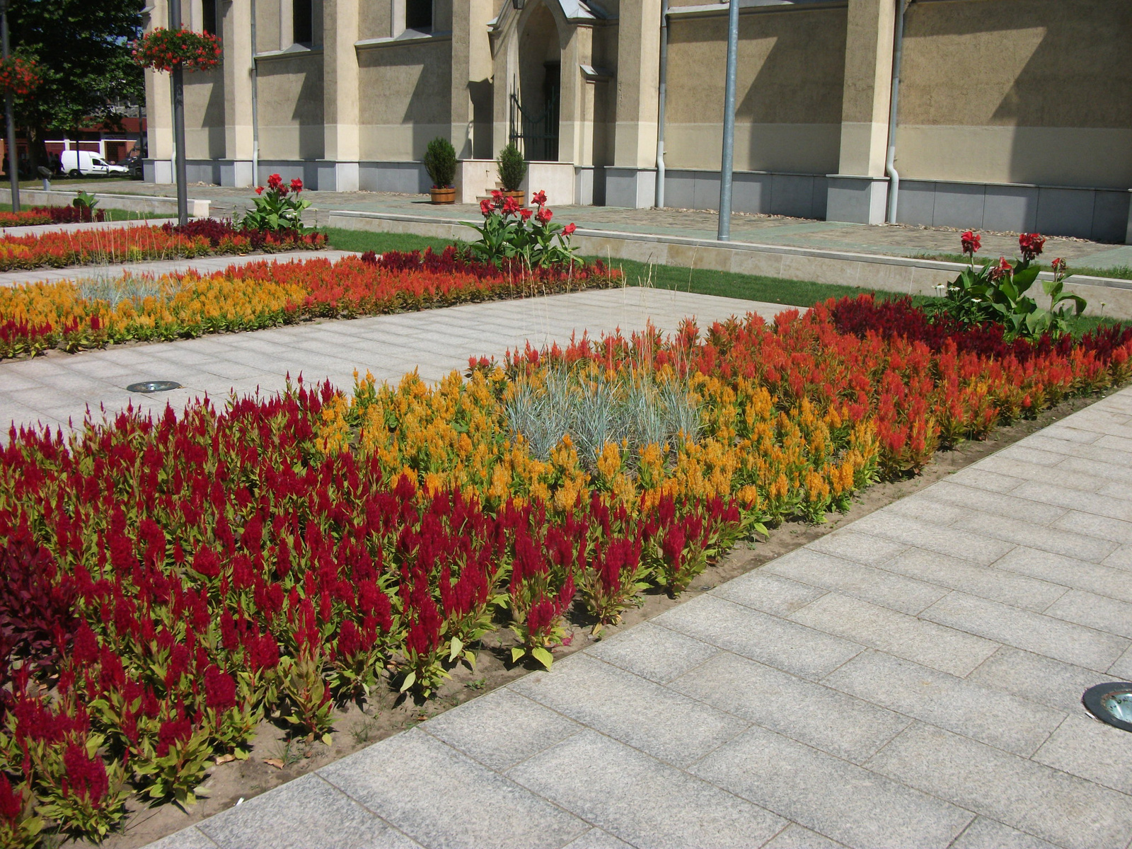 Újpest főtér (3)