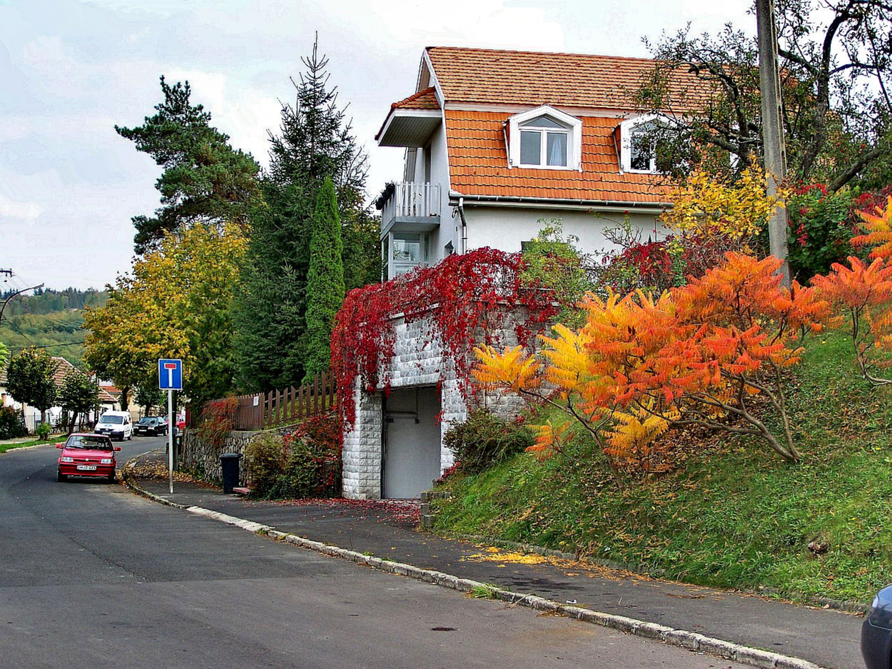 őszi színek, színek között fehér ház