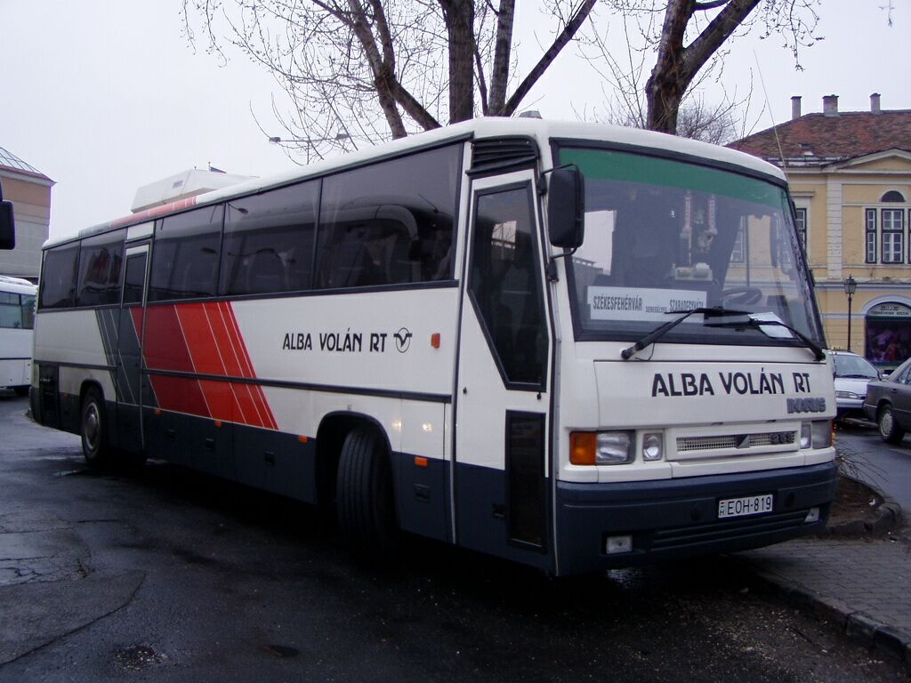 ik-alba-01