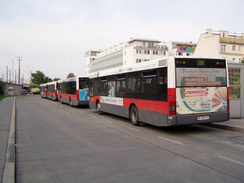 busz (19)