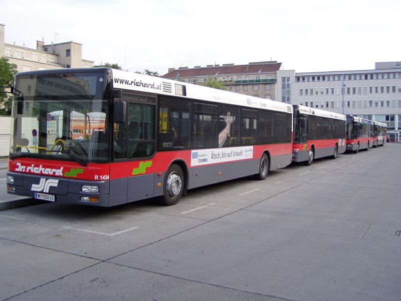 busz (28)