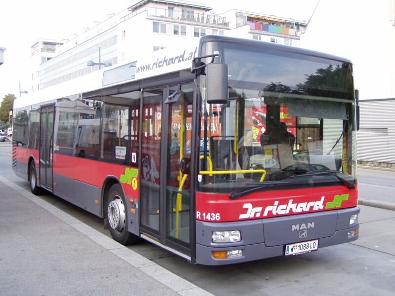 busz (33)