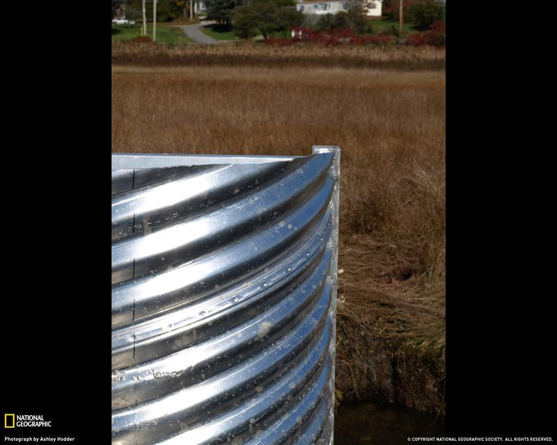 metal-in-field-maine-xl (Medium)