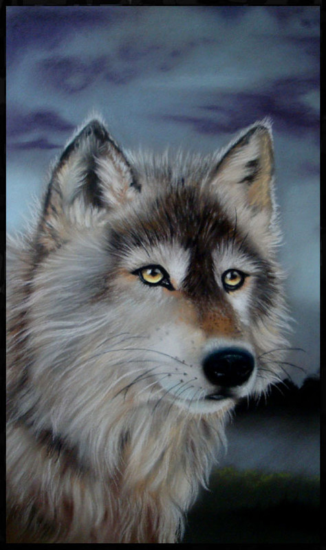 grey-wolf-border