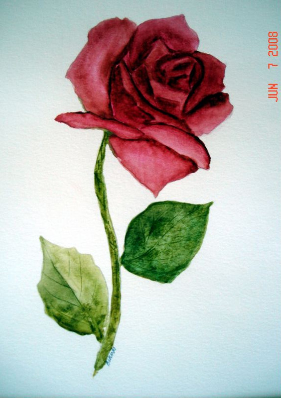 Rose 2 Watercolor