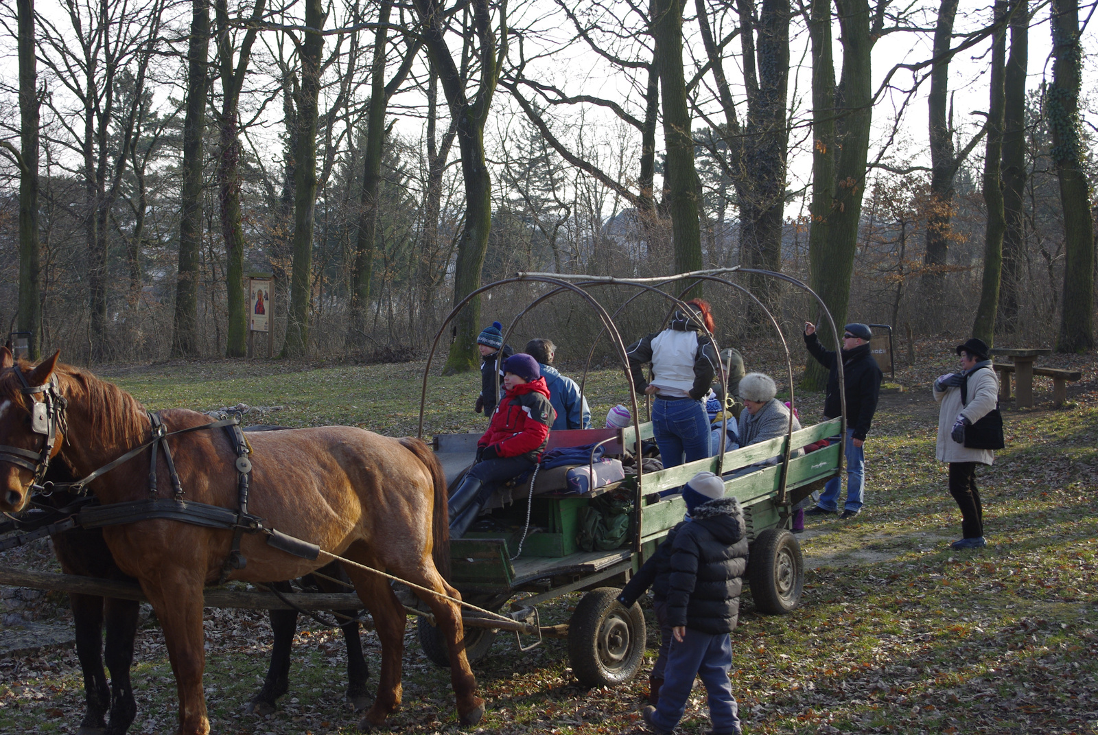 2011.01.15. Nagyvázsony-Nemesleányfalu