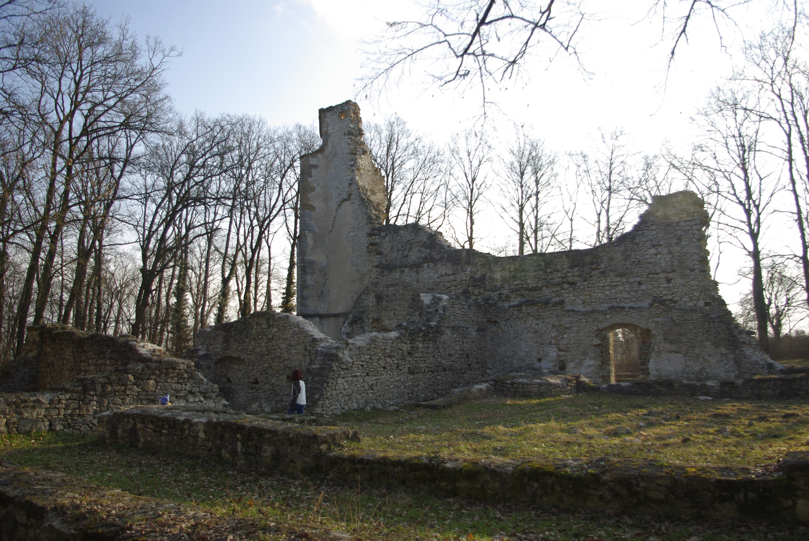 2011.01.15. Nagyvázsony-Nemesleányfalu