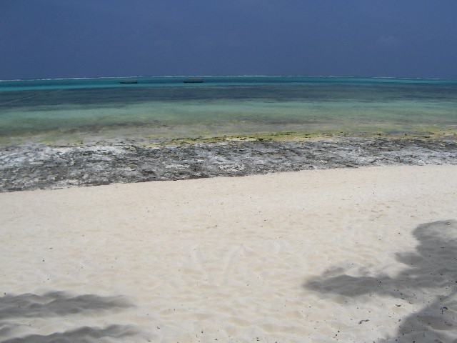 zanzibar Óceán (12)