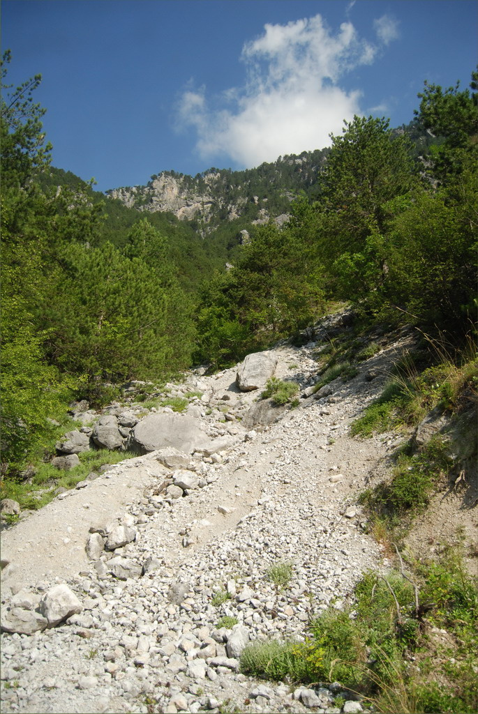 olympos19