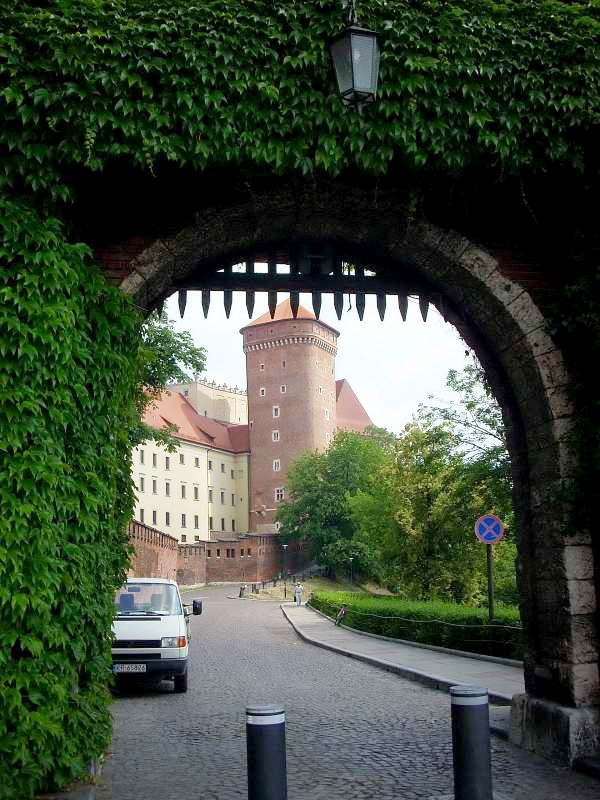 Wawel10