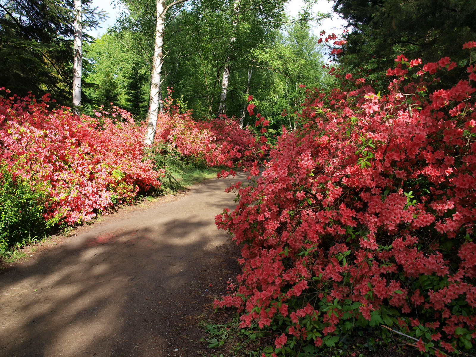 Jeli Arborétum 75