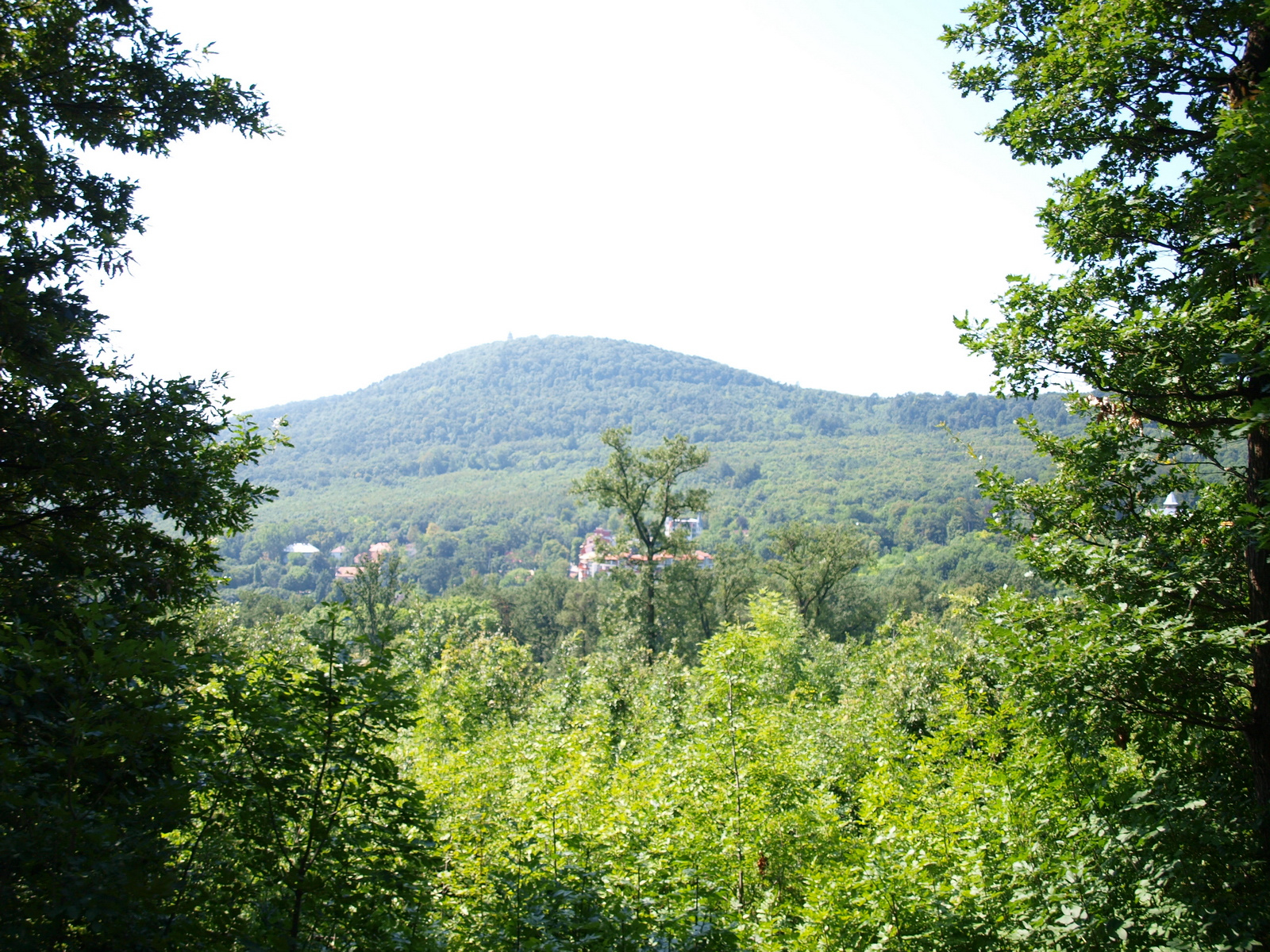 Gyermekvasút, 2010.08.01 (39)