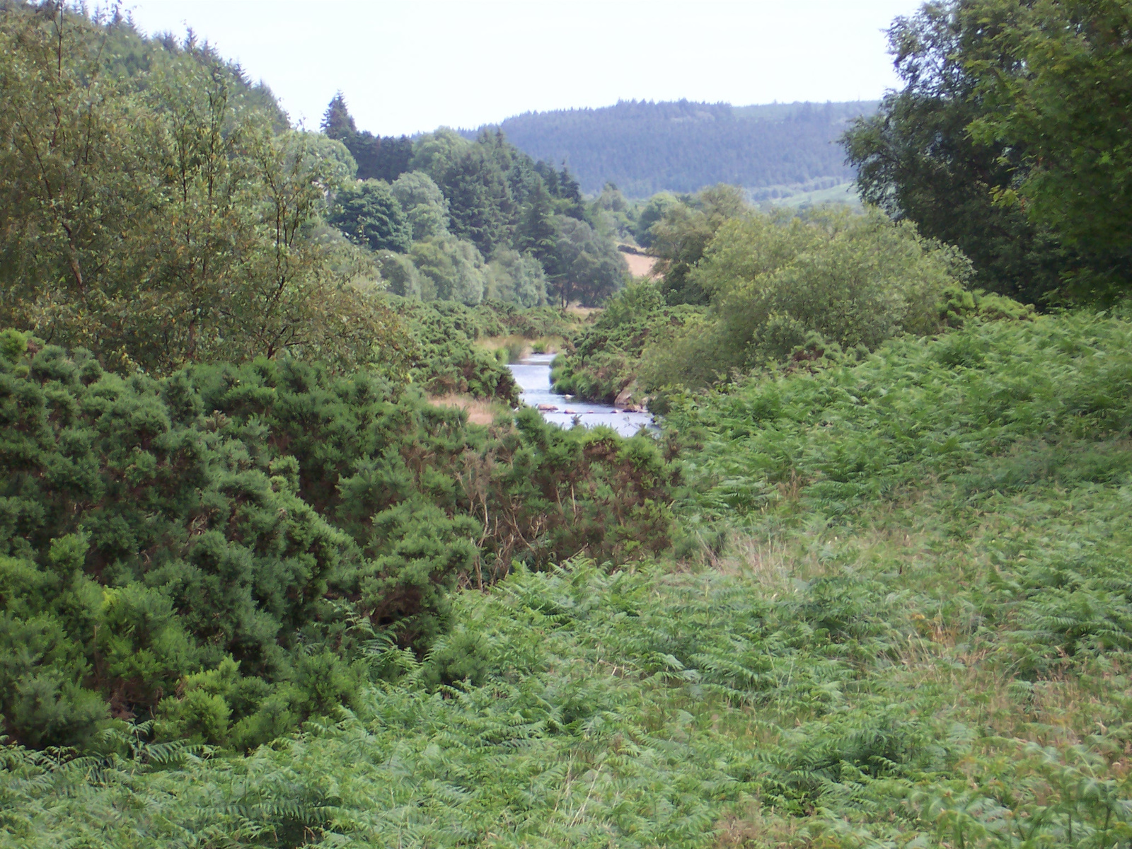 Glendalough26