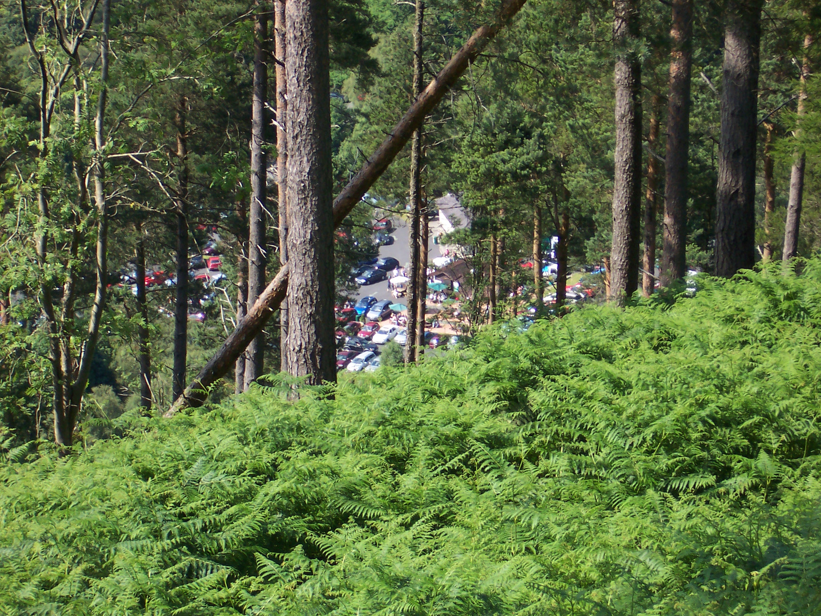 Glendalough6