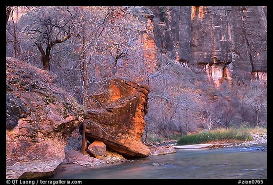 zion0765