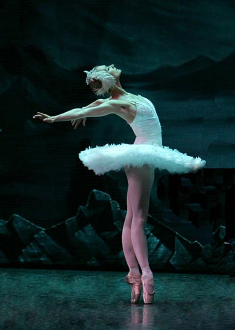 spbt swan lake irina kolesnikova solo flight 460