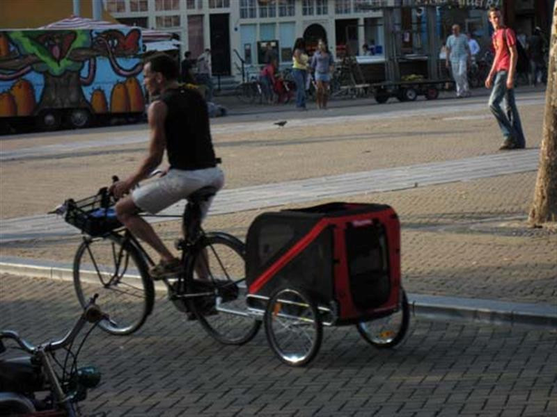 pq4s amsterdam bicycle dog (Medium) (Medium)