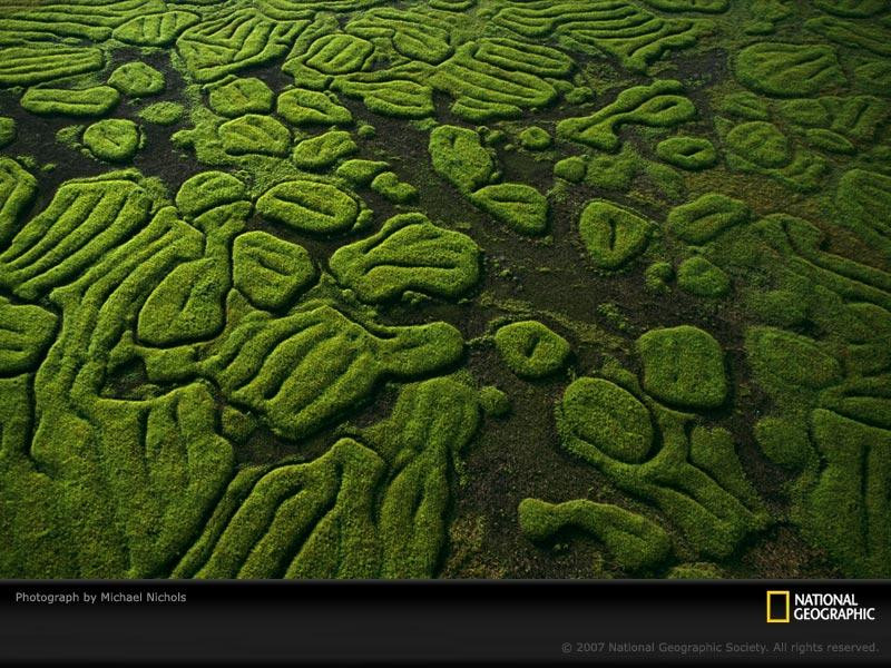 congo-terraces-657908-sw (Medium)