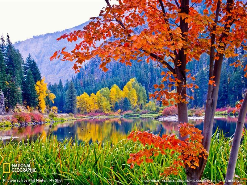 fall-leaves-earthscapes-sw (Medium)