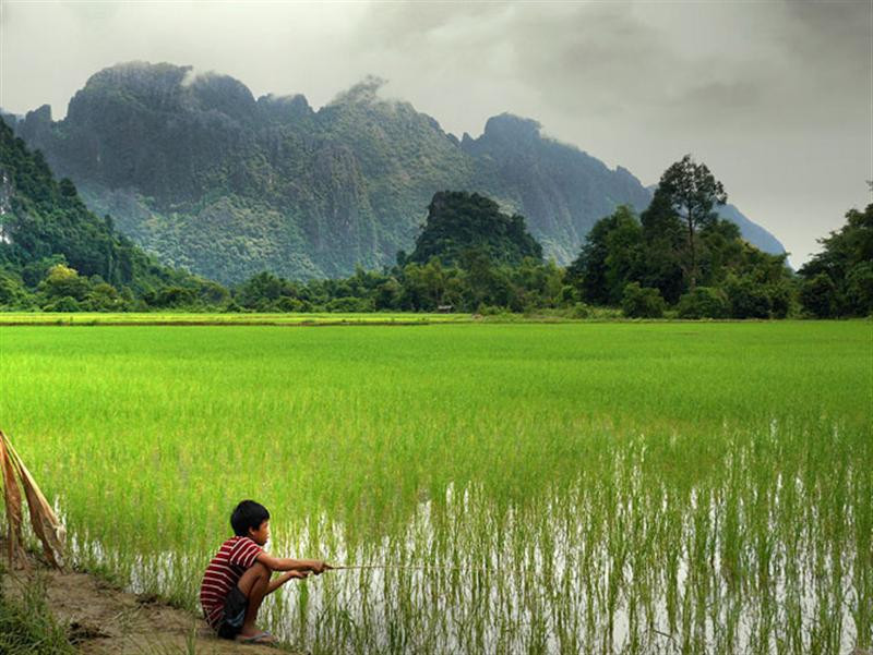 working-in-a-sea-of-green   (Medium)