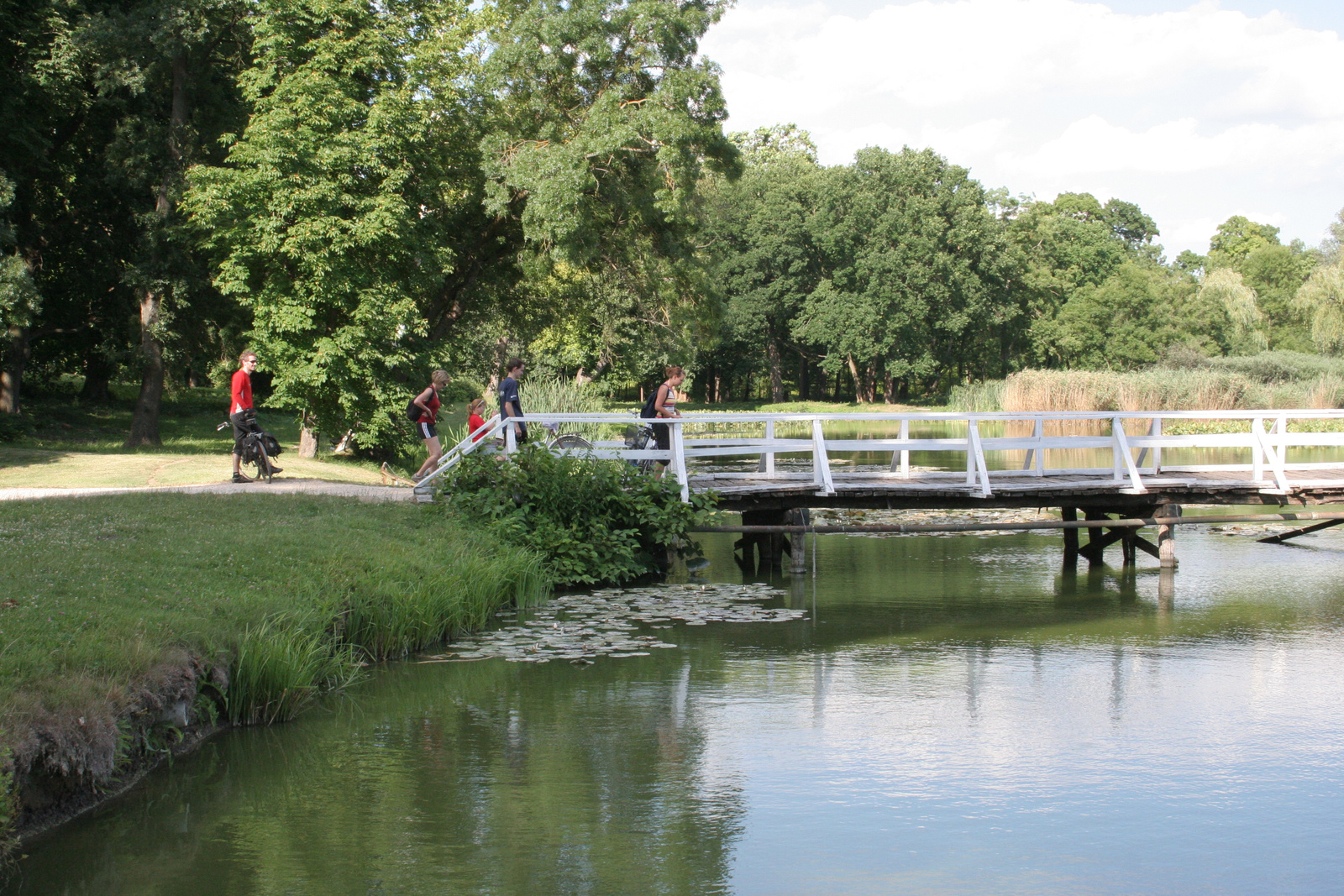 2008.07.05 mezőföldKép 121