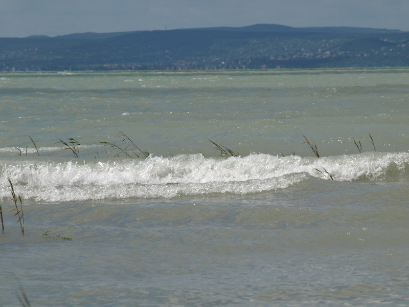 balaton2008+ 054