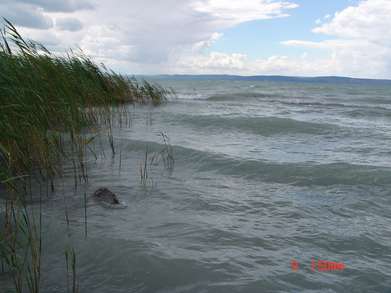 balaton2008 108