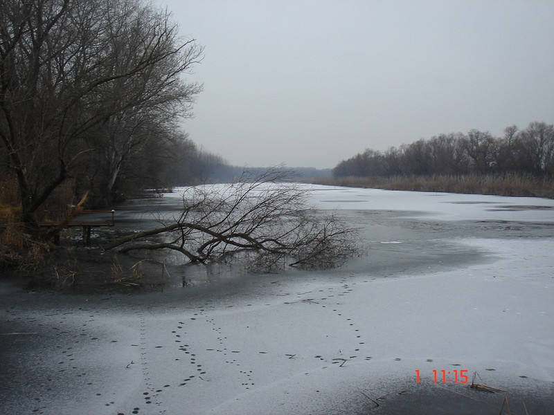 szak,lakás 046