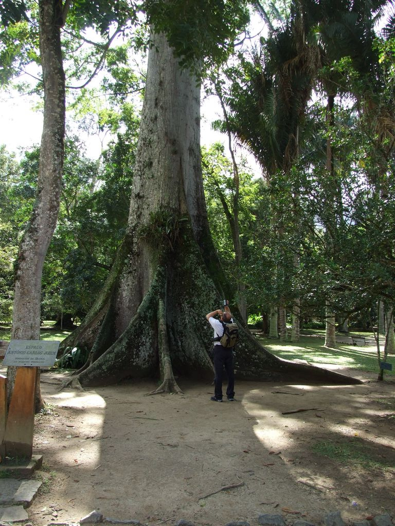 brazília 2009 245