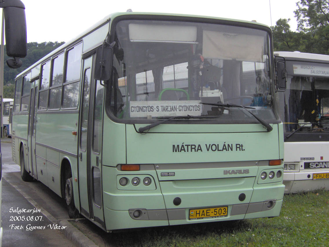 Ikarus Classic C56-HAE-503