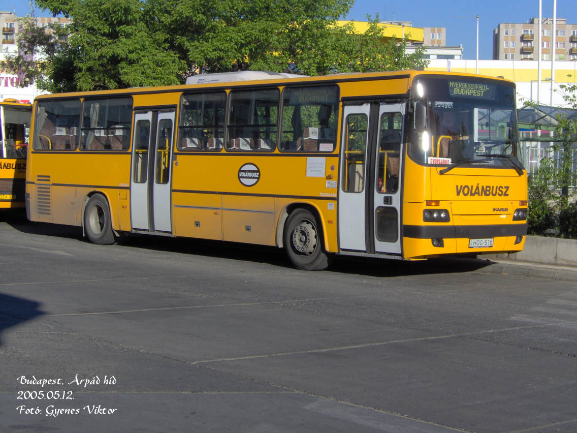 Ikarus Classic C56-HOG-516 3