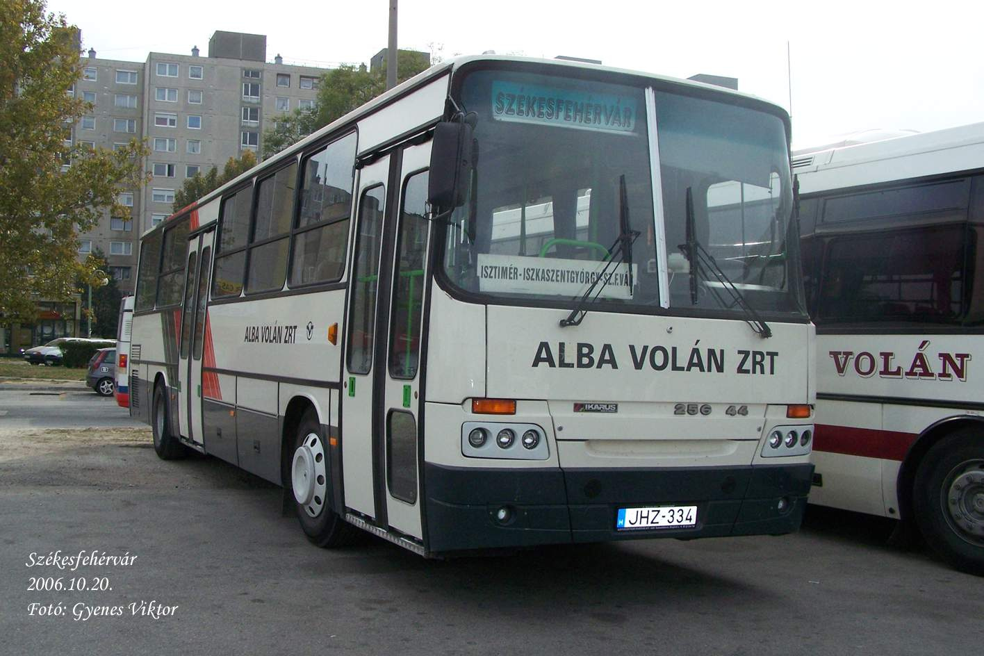 Ikarus Classic C56-JHZ-334 1