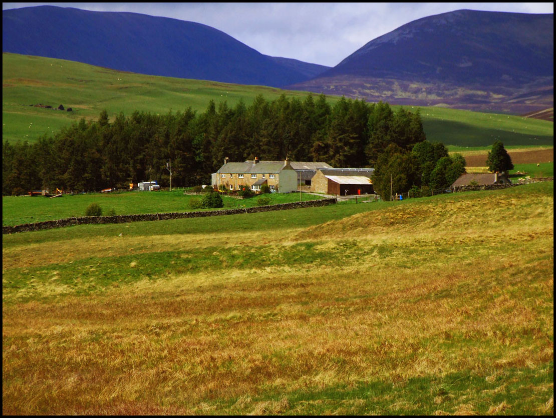 Farm a völgyben