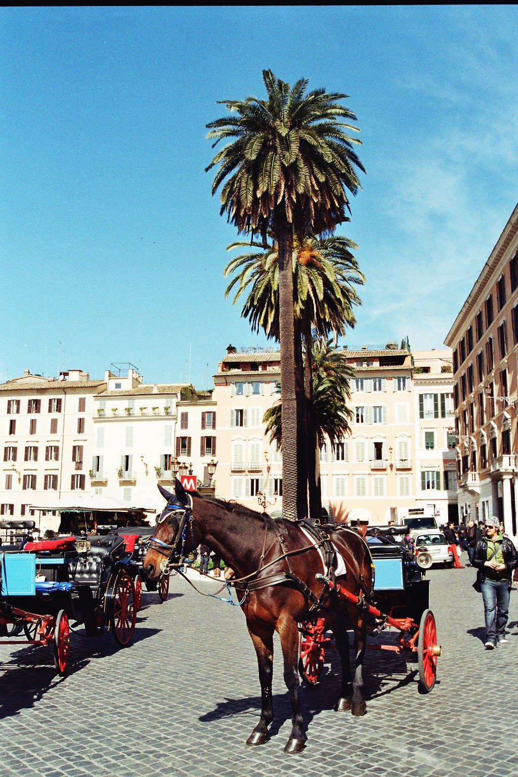 Navona-tér