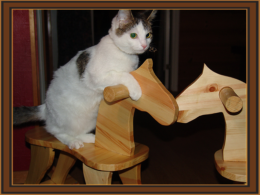 Riding the Rocking Horse by The ShadowCat