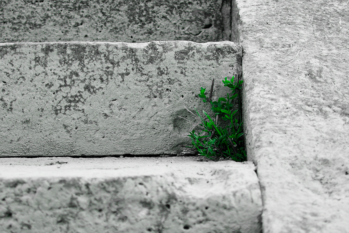 Zöld a lépcsőn